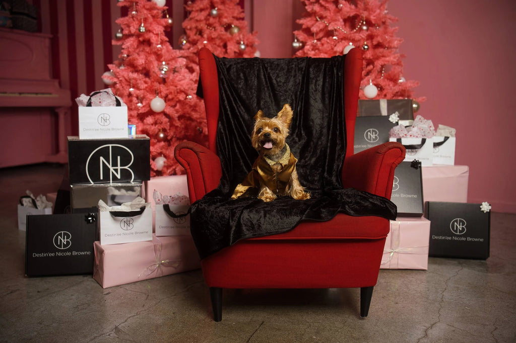 DNB's Lucky Pooch Jacket