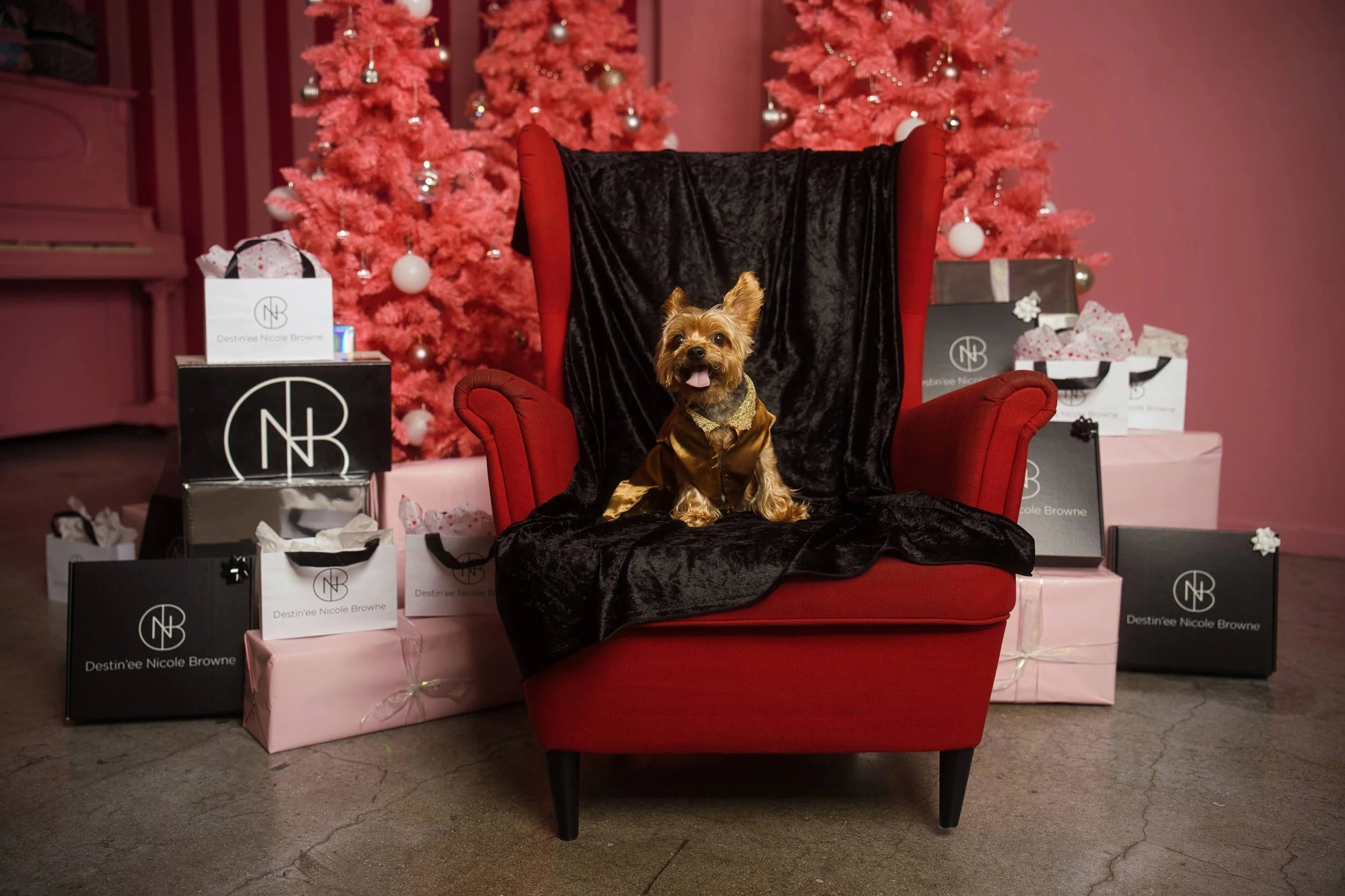DNB's Lucky Pooch Jacket