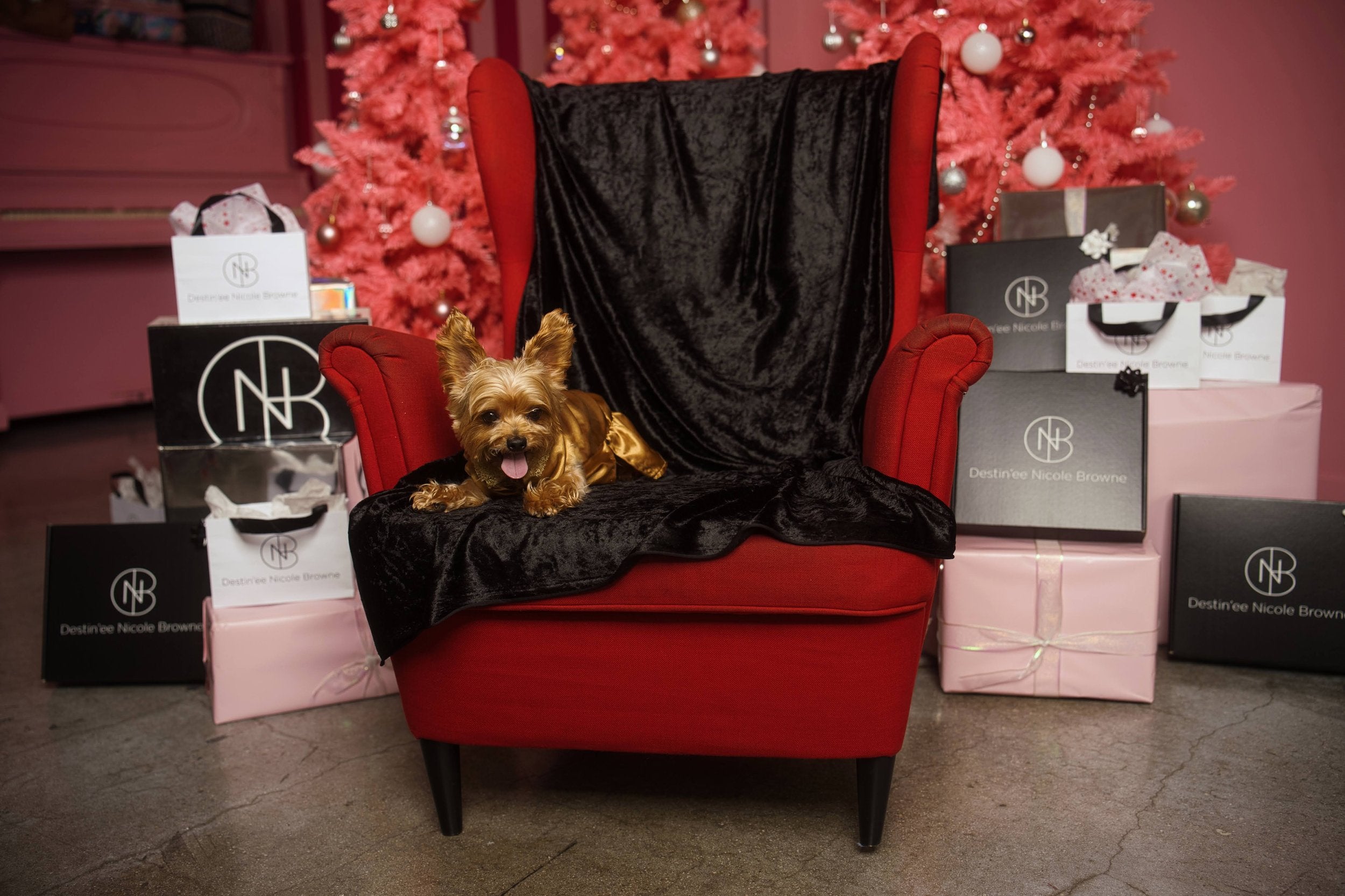 DNB's Lucky Pooch Jacket